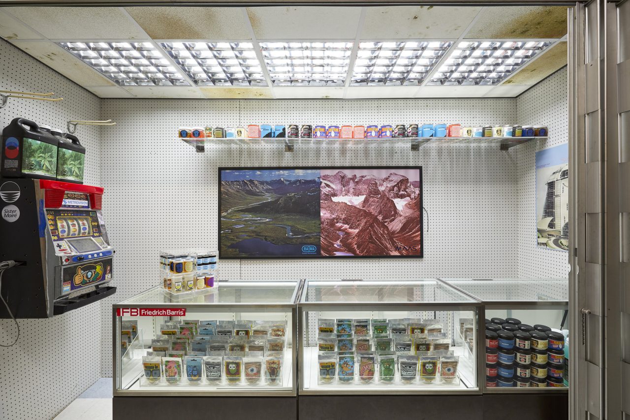 An installation view of Colony Sound by Freeman and Lowe