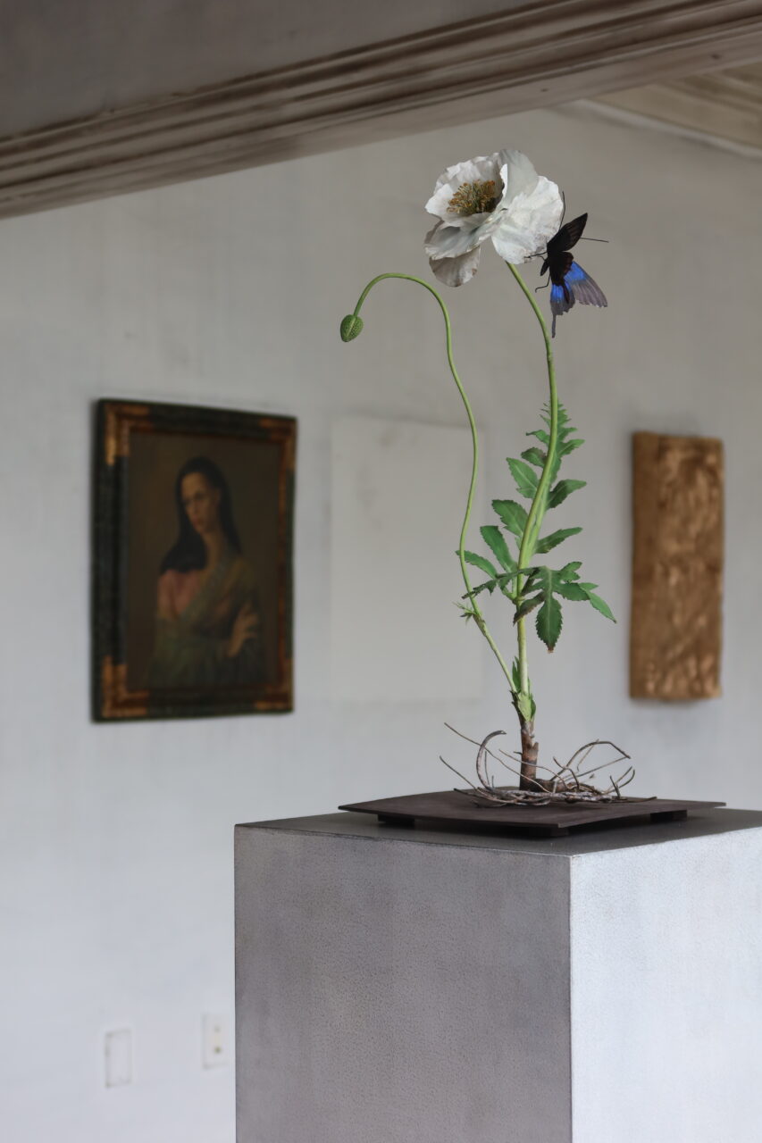 A flower sits on a pedestal in an art gallery