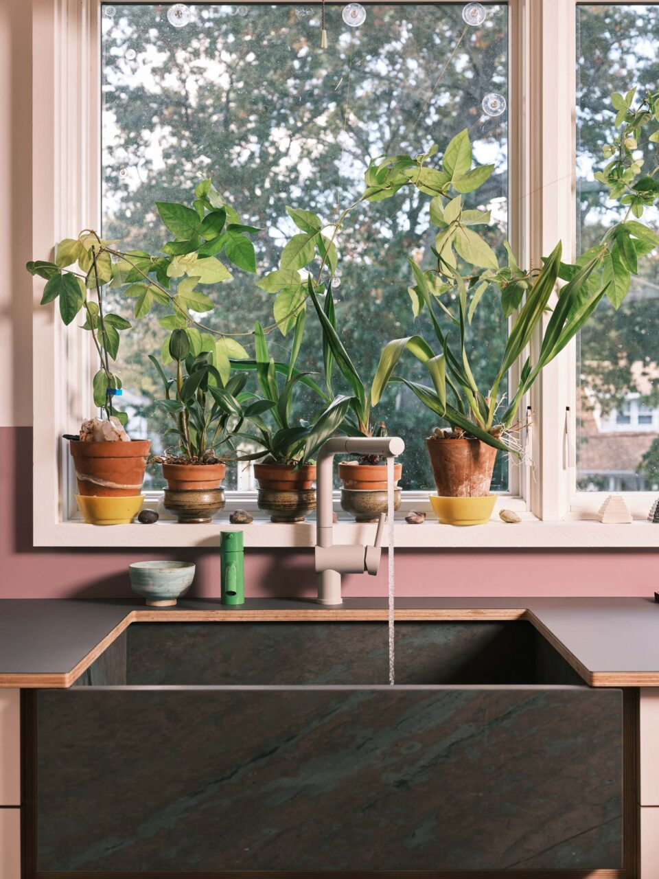 potted plants above large black sink