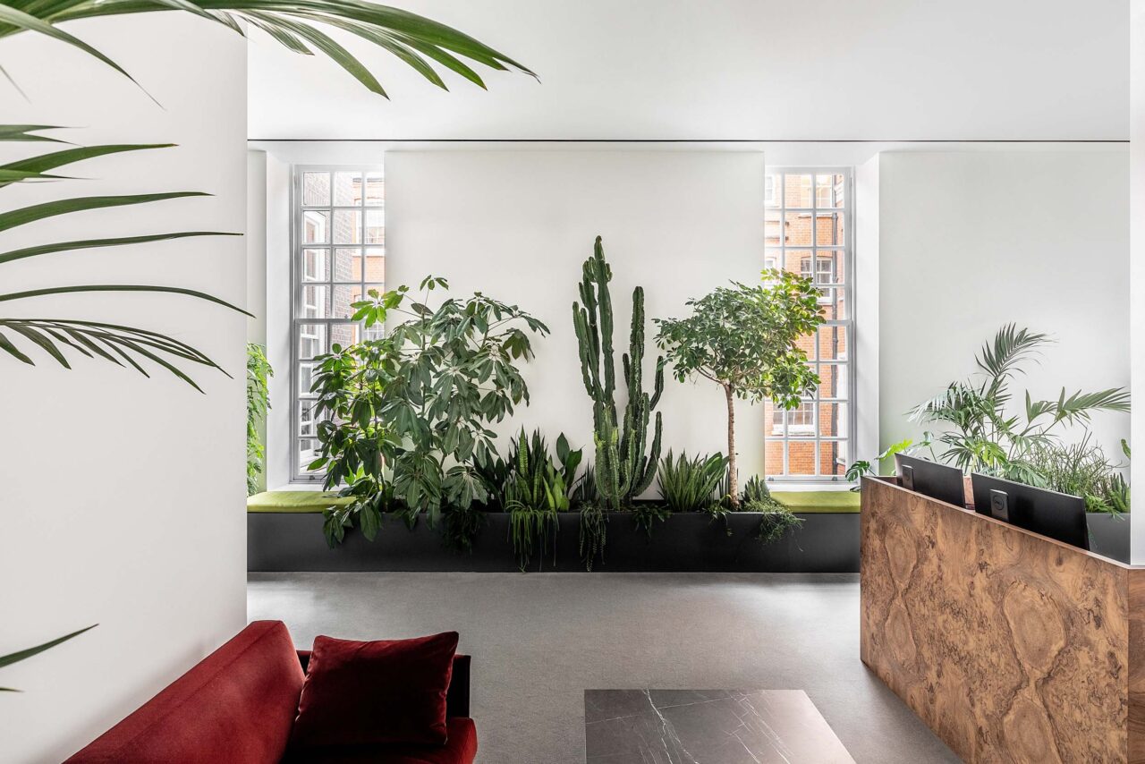 An office by Kallos Turin features a wall of plants
