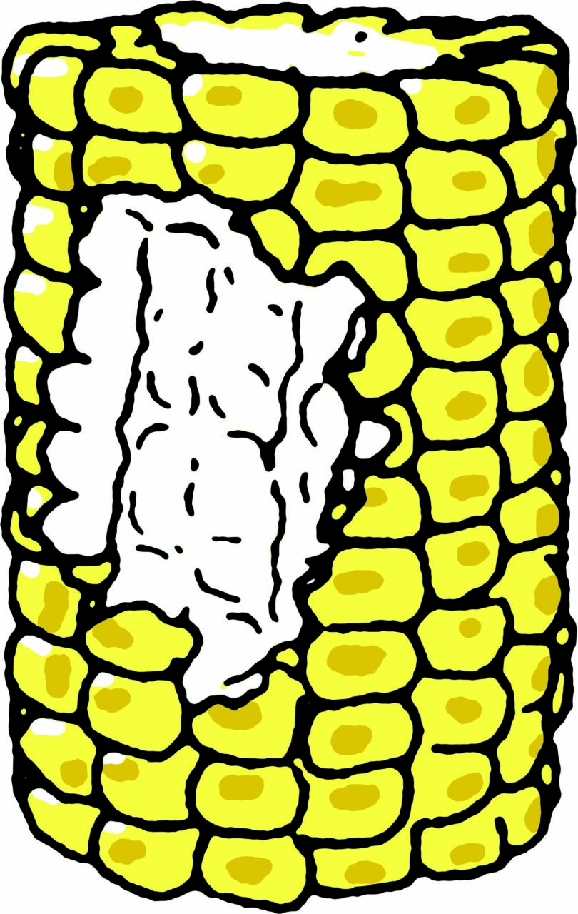 A corn-shaped stool is sold at Urban Outfitters, illustrated by Elizabeth Goodspeed