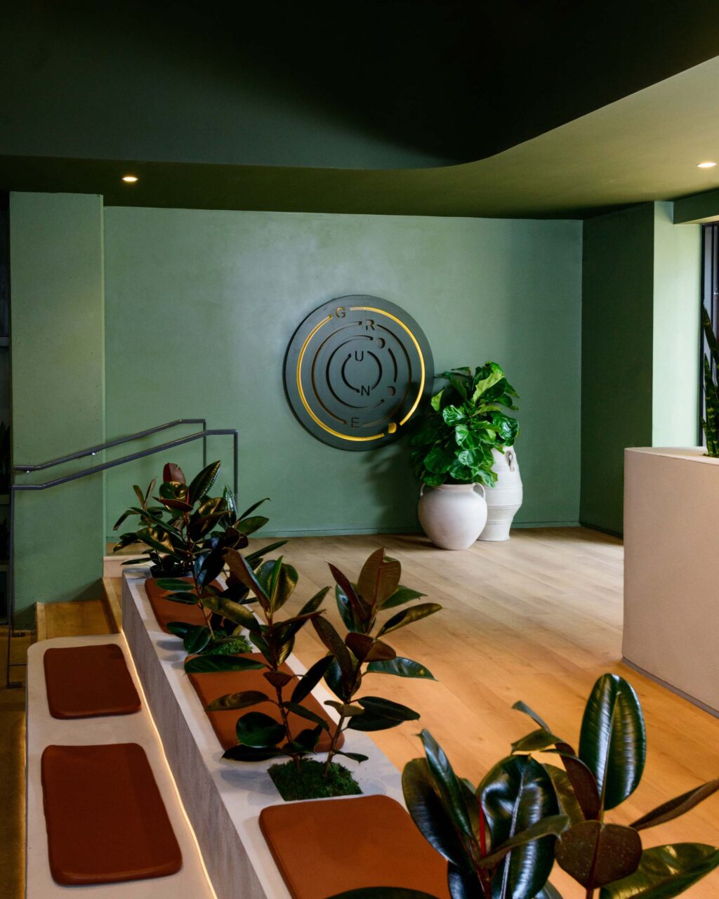 Green plant shop
