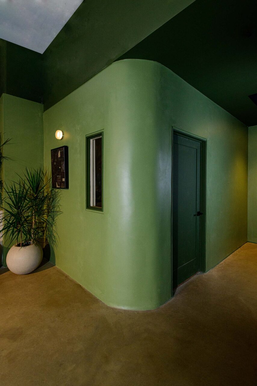 Green walls in plant shop in DC