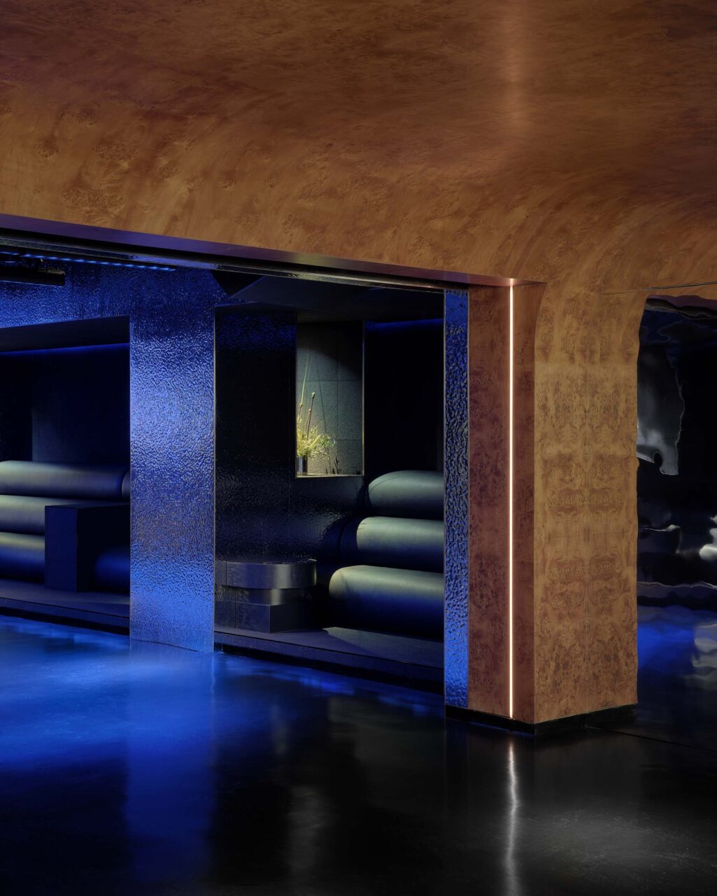 burl plywood meets an all-blue interior