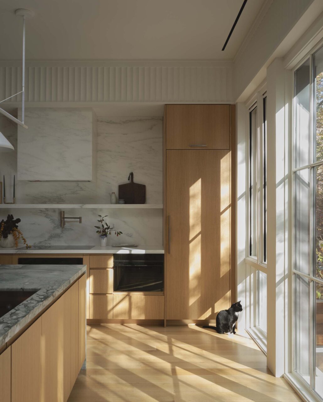 cat looking out through glass windows and doors in kitchen