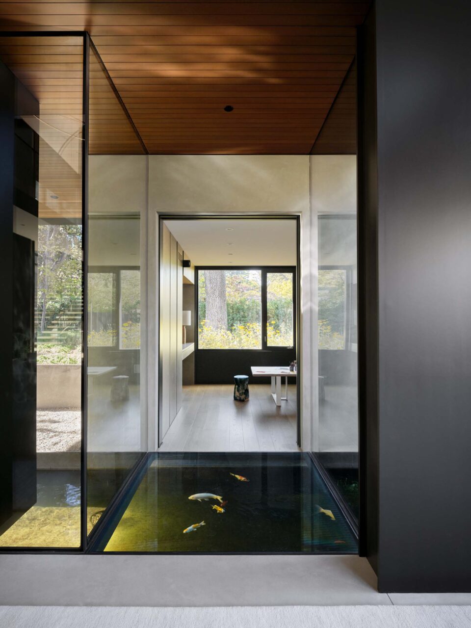 koi pond below a glass bridge within home