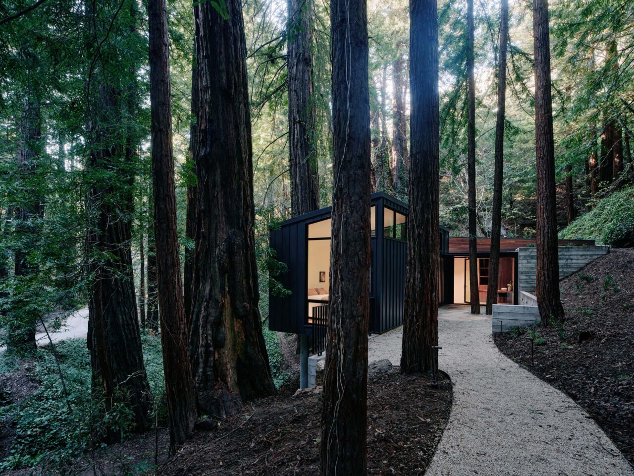 the house is located on a tree-filled site