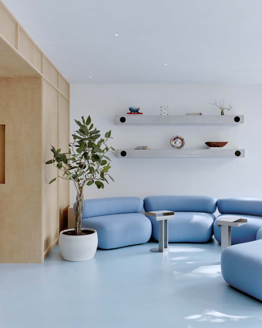 blue couch