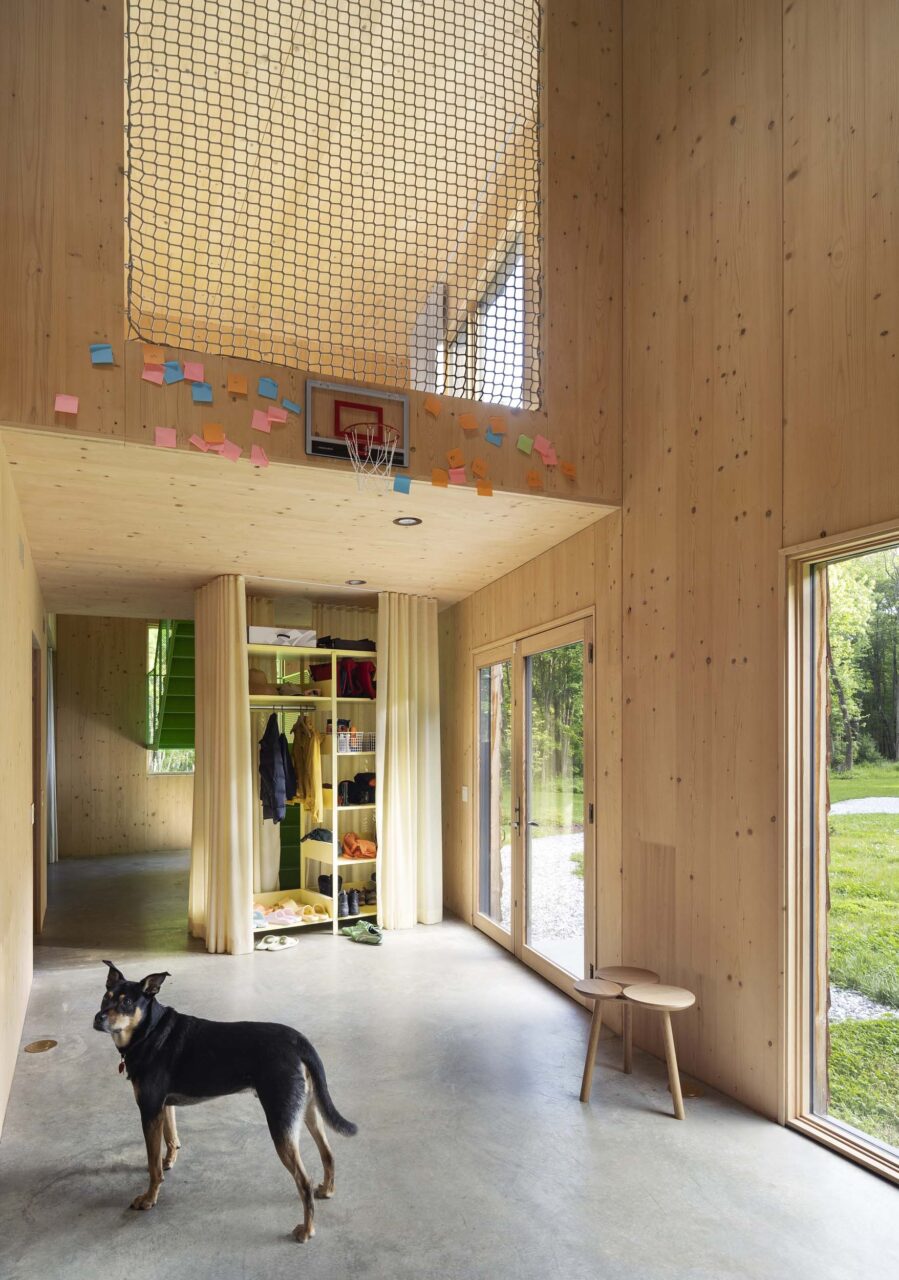 netting on wall and dog on first floor