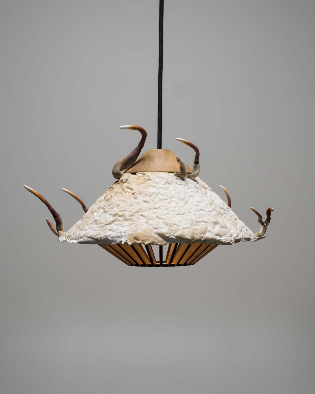 fungi lamp