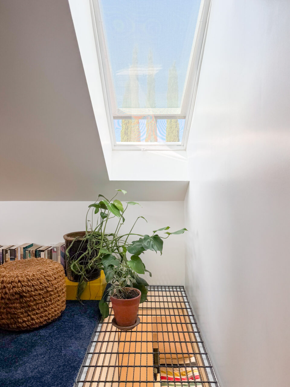 skylight in attic