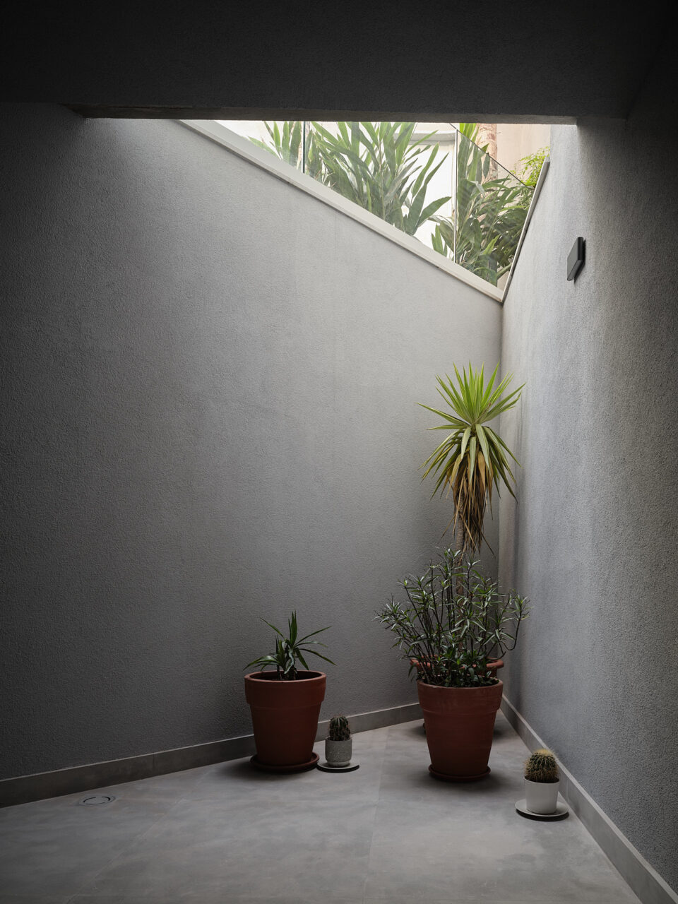 niche of plants in a triangular space