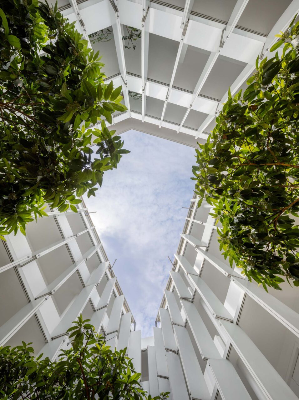 hotel in mexico