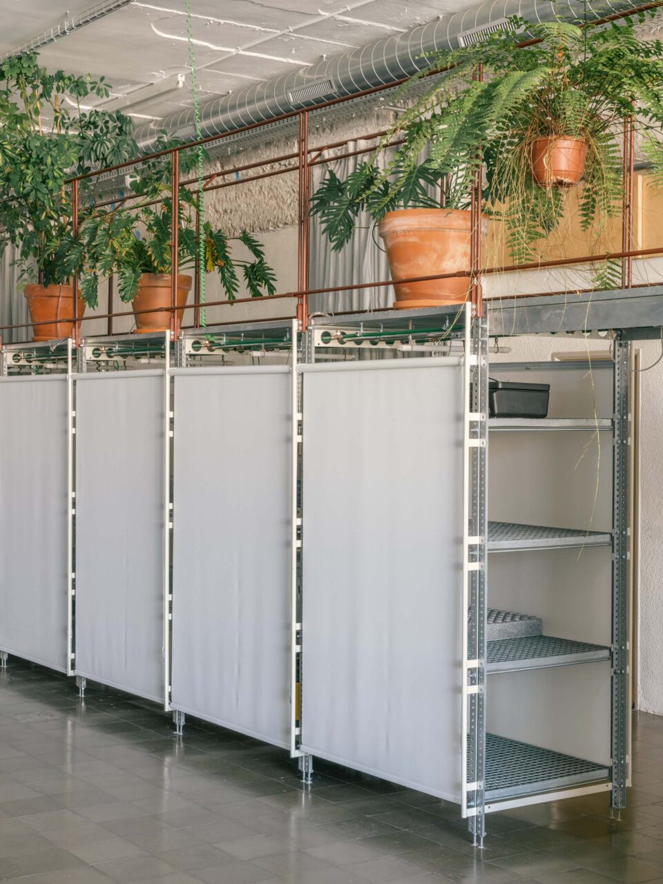 trays at lofts