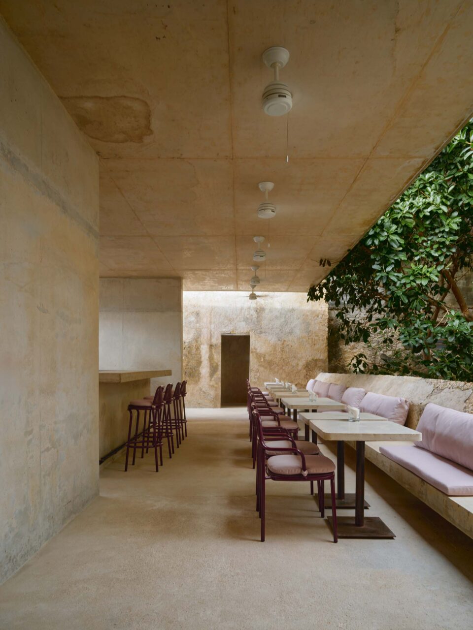 hospitality in merida