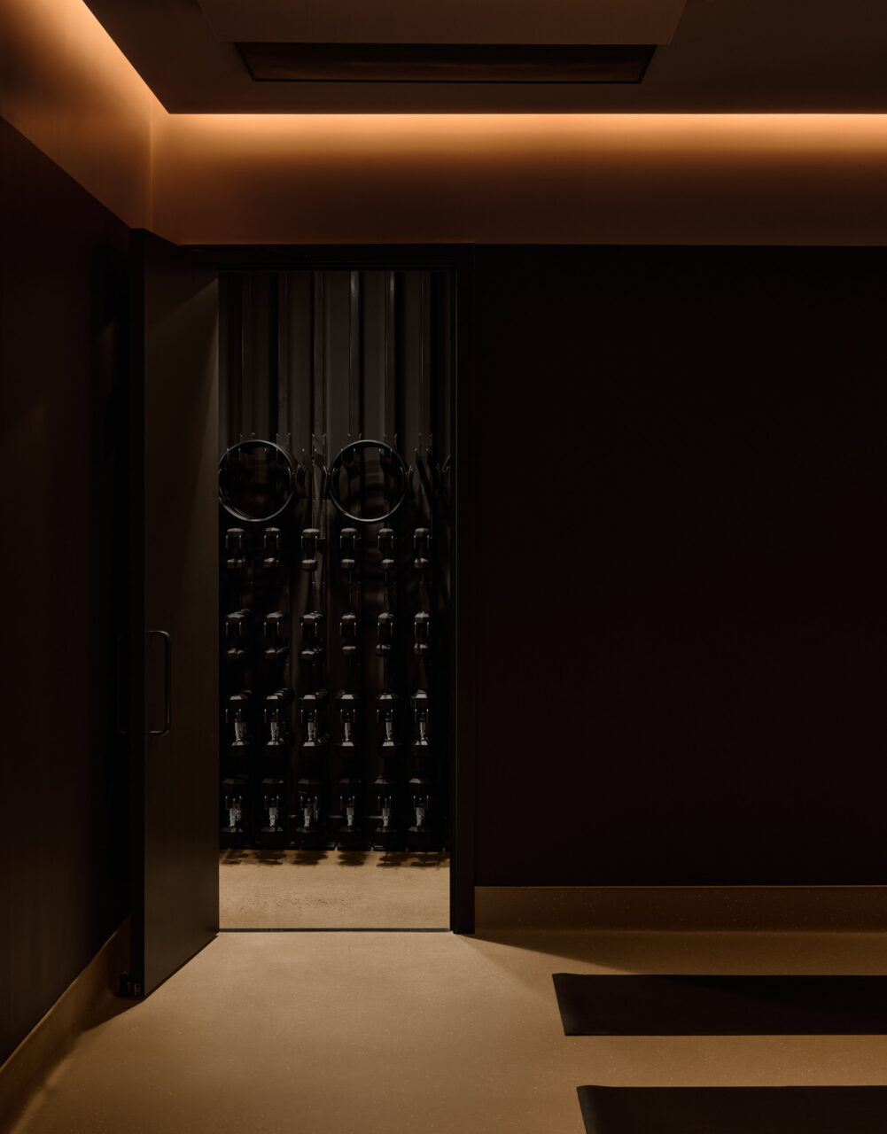 ivy studio design gym