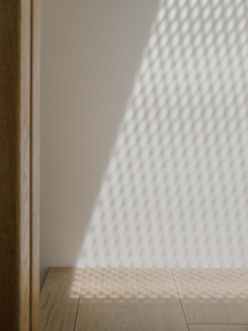 dappled light entering interior space