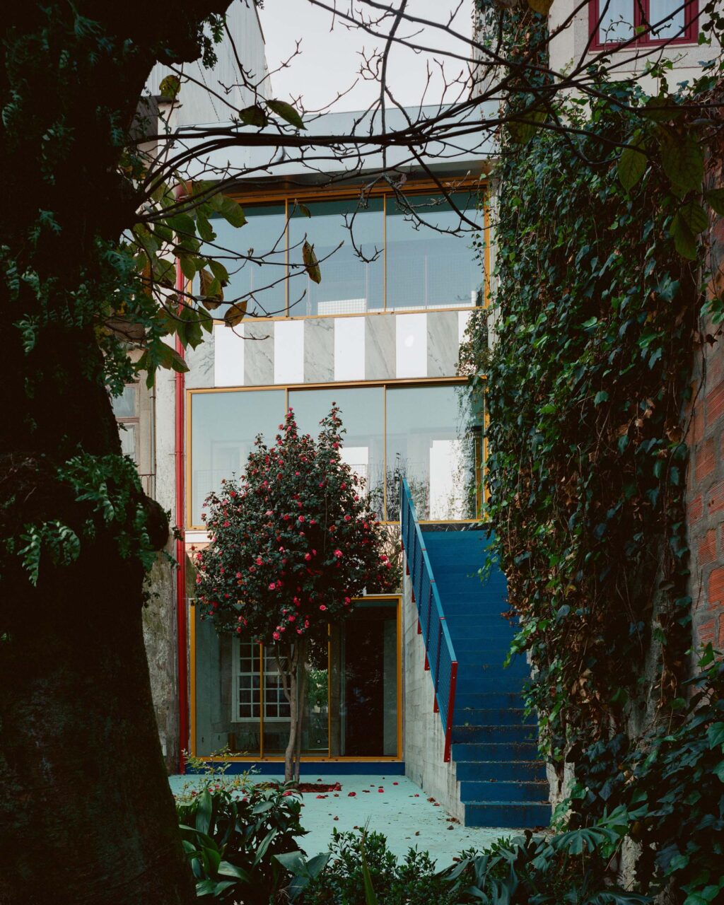 rear of residence