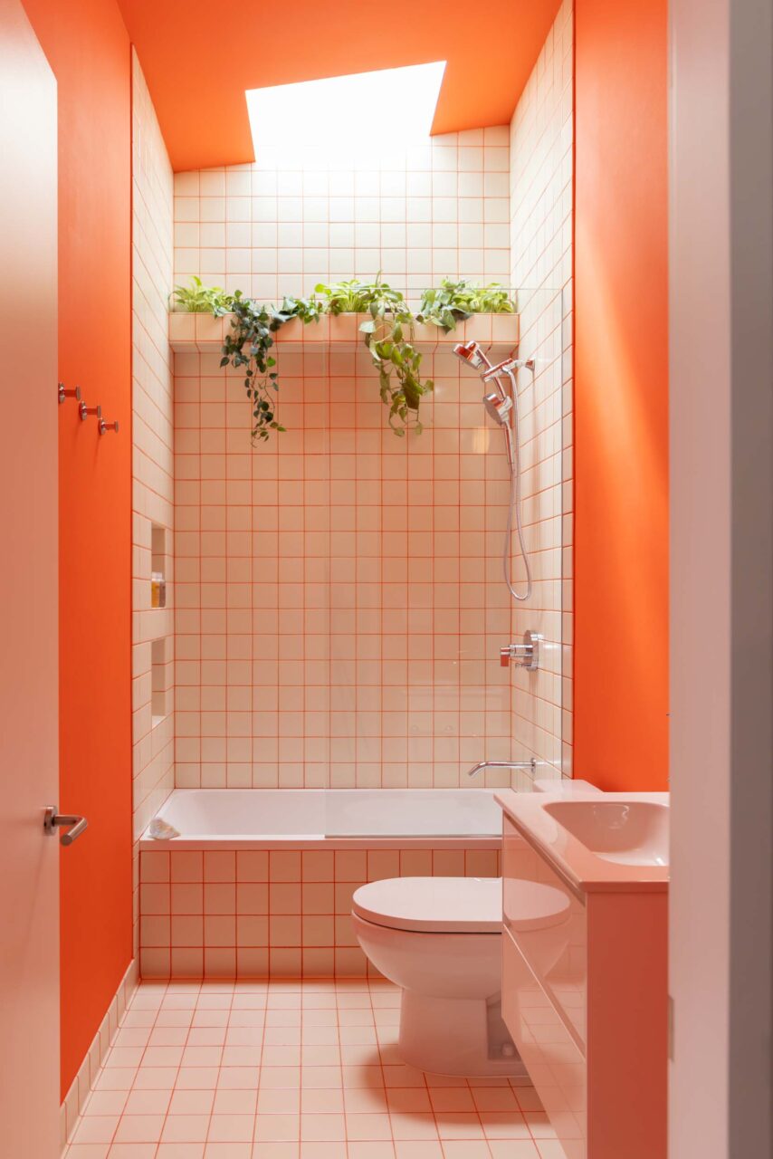 bathroom with skylight